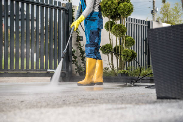 Best Sidewalk and Walkway Cleaning  in Windsor, MO